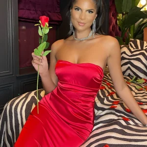 Discount Delilah Ruched Corset Satin Gown - Red Women Dresses